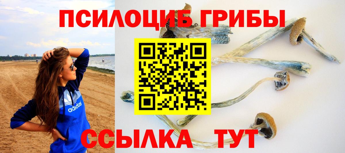 Орёл  Галлюциногенные грибы Magic Shrooms  Галлюциногенные грибы GOLDEN TEACHER  Вход с VPN 