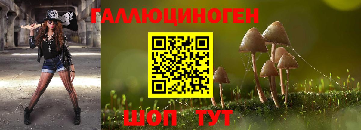 Галлюциногенные грибы MAGIC MUSHROOMS Орёл